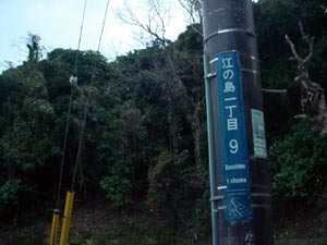 DSC01386.jpg