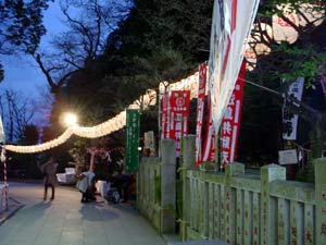 DSC01392.jpg