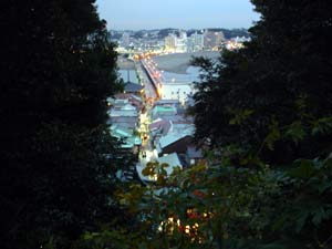 DSC01399.jpg