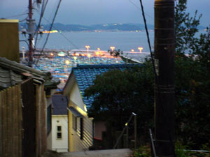 DSC01402.jpg