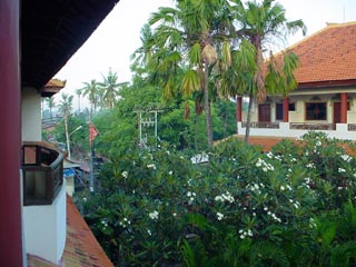 DSC03239.jpg
