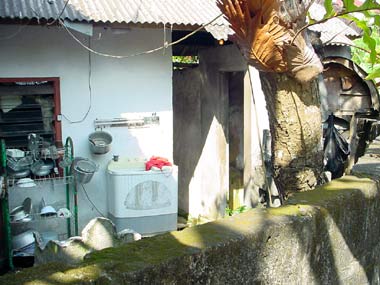 DSC03286.jpg