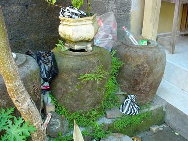 DSC03353.jpg