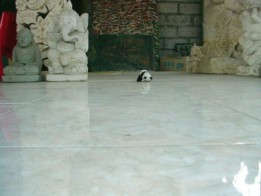 DSC03595.jpg