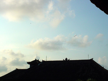 DSC03615.jpg