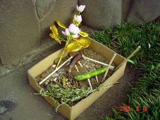 DSC04237.jpg