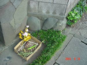 DSC04238.jpg