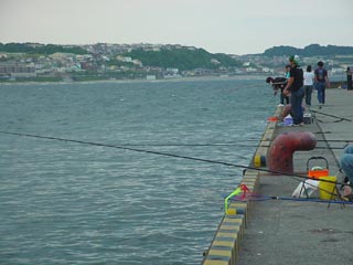 グレ、アジ、カサゴ、メバル、アイナメ、イワシ、なにが釣れるか。 DSC06113.jpg