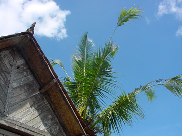 DSC06153.jpg