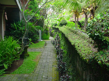 DSC06186.jpg