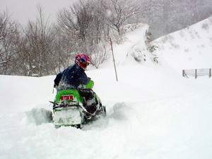 本気出さないでくださいね・・ DSC07575.jpg