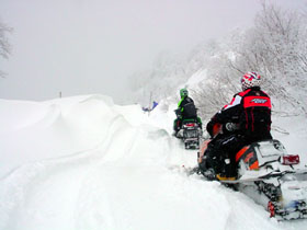 DSC07627.jpg