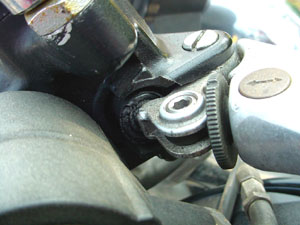 DSC08474.jpg