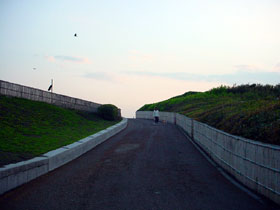 海へ上がるこうゆう道はなぜかワクワクします♪ DSC08782.jpg