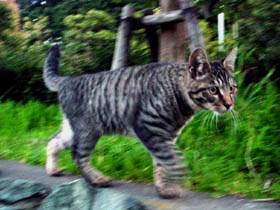DSC08787.jpg