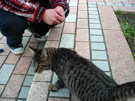 Oさんと猫 DSC08788.jpg