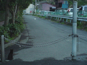 DSC08791.jpg