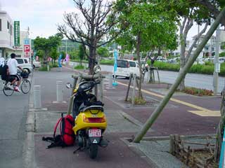DSC09597.jpg