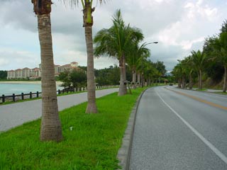 DSC09624.jpg