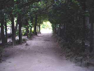 DSC09641.jpg