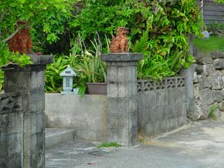 DSC09650.jpg