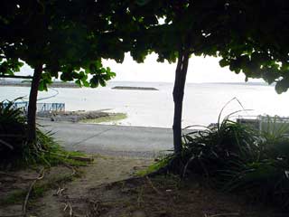 DSC09653.jpg