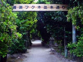 DSC09658.jpg