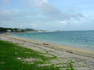 DSC09674.jpg