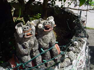 DSC09675.jpg