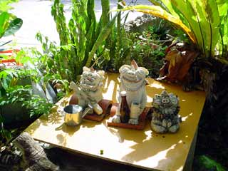 DSC09677.jpg