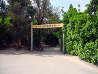 DSC09685.jpg