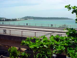 DSC09714.jpg