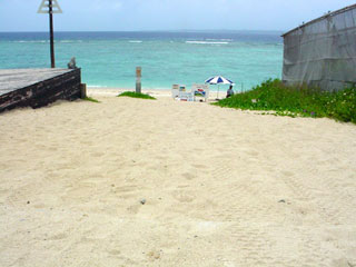 DSC09723.jpg