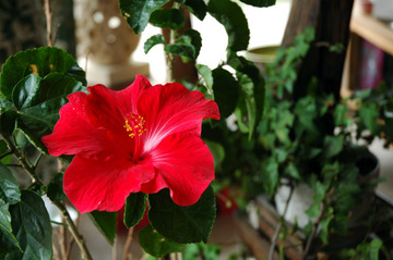 DSC_1761.jpg