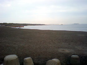 サザンビーチから江の島 HI3A0042.jpg