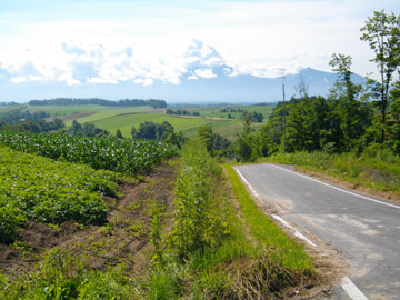 IMGP0244.jpg